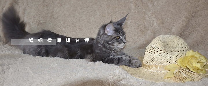 婚姻律师排名榜 婚姻律师排名榜