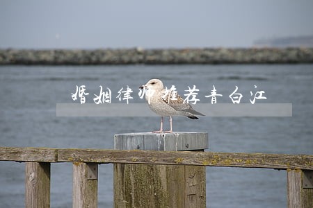 婚姻律师推荐青白江 婚姻律师推荐青白江