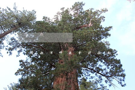 婚姻律师收费标准是多少 婚姻律师收费标准是多少