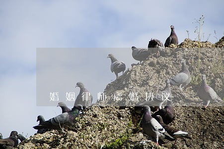 婚姻律师离婚协议 婚姻律师离婚协议