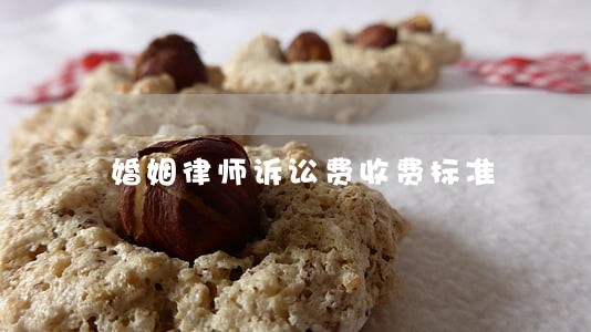 婚姻律师诉讼费收费标准 婚姻律师诉讼费收费标准