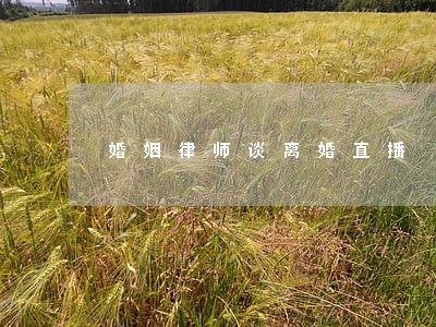婚姻律师谈离婚直播 婚姻律师谈离婚直播