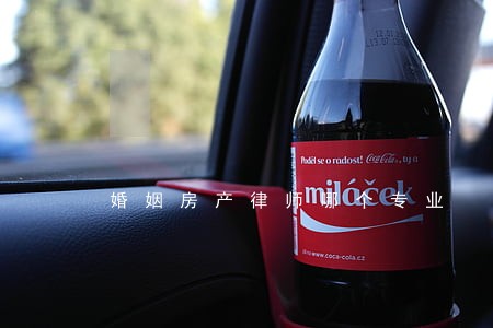 婚姻房产律师哪个专业 婚姻房产律师哪个专业
