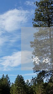 婚姻房产律师收费情况 婚姻房产律师收费情况