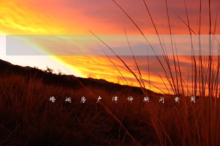 婚姻房产律师顾问费用 婚姻房产律师顾问费用