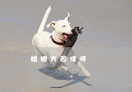 婚姻方面律师 婚姻方面律师