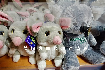 婚姻方面的法律咨询 婚姻方面的法律咨询