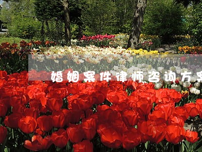 婚姻案件律师咨询方案 婚姻案件律师咨询方案