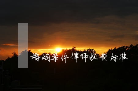 婚姻案件律师收费标准 婚姻案件律师收费标准