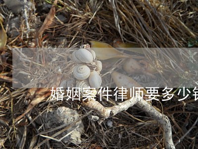 婚姻案件律师要多少钱 婚姻案件律师要多少钱