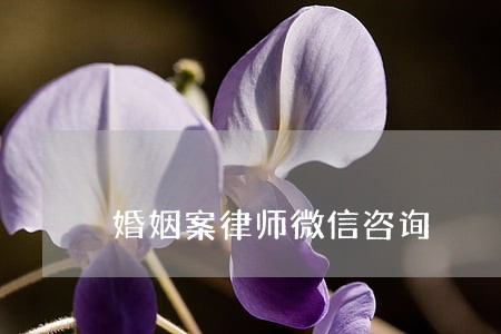 婚姻案律师微信咨询 婚姻案律师微信咨询