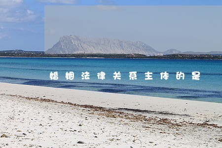 婚姻法律关系主体的是