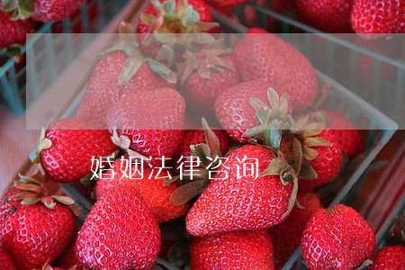 婚姻法律咨询 婚姻法律咨询
