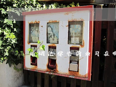 婚姻法律咨询公司在哪里
