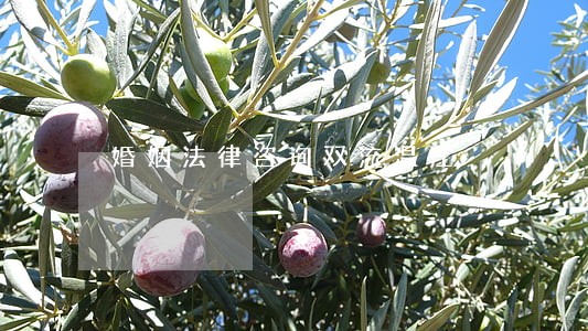 婚姻法律咨询双流温江 婚姻法律咨询双流温江