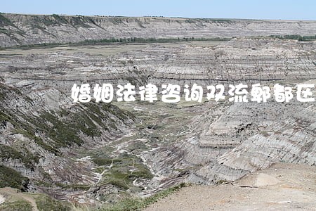 婚姻法律咨询双流郫都区 婚姻法律咨询双流郫都区