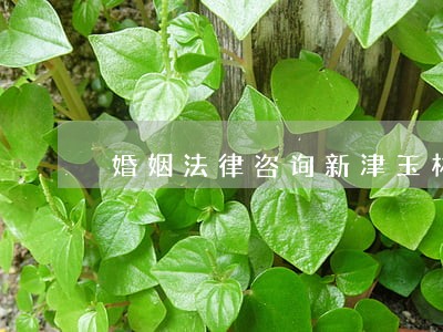 婚姻法律咨询新津玉林街 婚姻法律咨询新津玉林街
