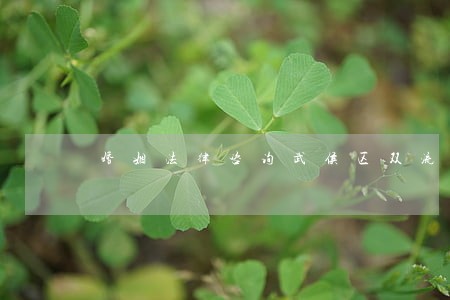 婚姻法律咨询武侯区双流 婚姻法律咨询武侯区双流