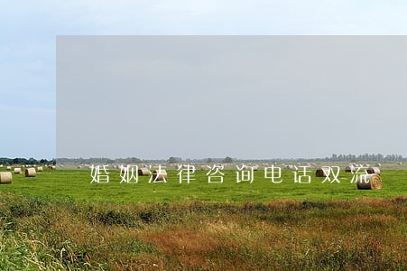 婚姻法律咨询电话双流 婚姻法律咨询电话双流