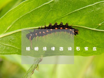 婚姻法律咨询石家庄 婚姻法律咨询石家庄