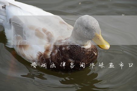 婚姻法律咨询邛崃盐市口