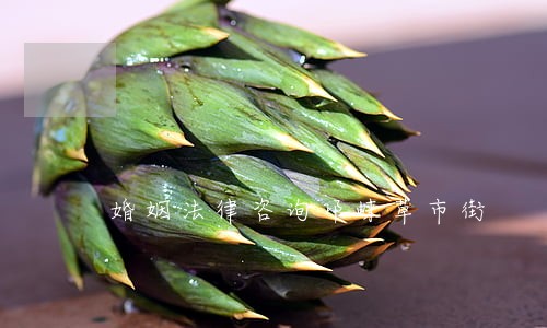 婚姻法律咨询邛崃草市街