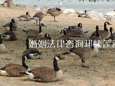 婚姻法律咨询邛崃莲新街 婚姻法律咨询邛崃莲新街