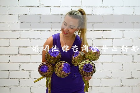 婚姻法律咨询金牛区新都 婚姻法律咨询金牛区新都