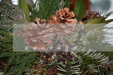 婚姻法律师排名 婚姻法律师排名