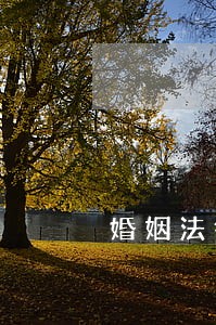 婚姻法律援助哪家强 婚姻法律援助哪家强
