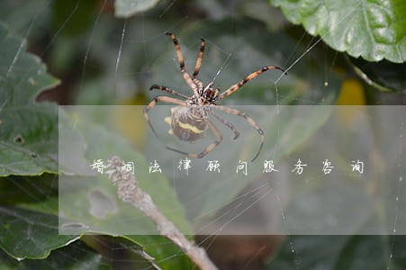 婚姻法律顾问服务咨询 婚姻法律顾问服务咨询