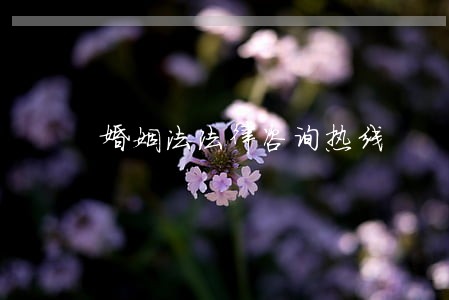 婚姻法法律咨询热线 婚姻法法律咨询热线