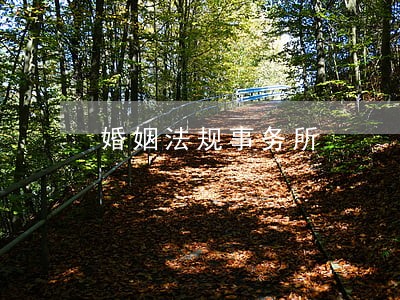 婚姻法规事务所