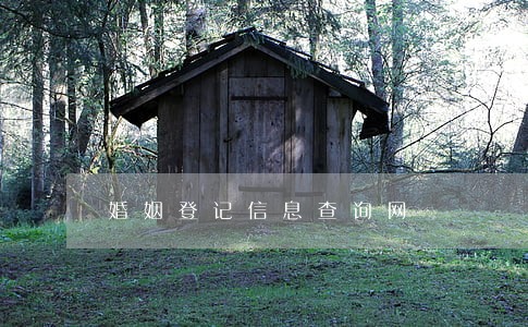 婚姻登记信息查询网 婚姻登记信息查询网
