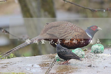 婚姻登记条例两大焦点 婚姻登记条例两大焦点