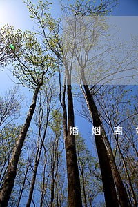 婚姻离婚律师价钱 婚姻离婚律师价钱
