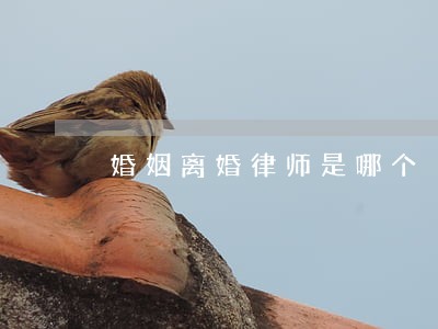 婚姻离婚律师是哪个 婚姻离婚律师是哪个