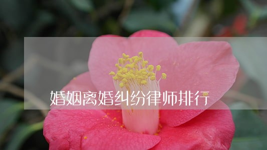 婚姻离婚纠纷律师排行 婚姻离婚纠纷律师排行