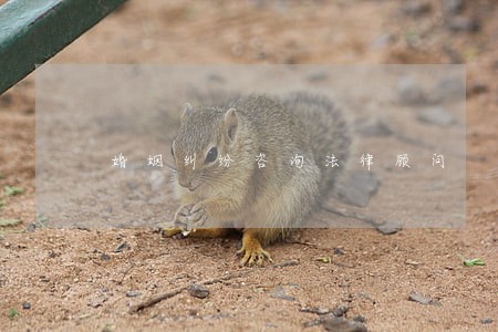 婚姻纠纷咨询法律顾问 婚姻纠纷咨询法律顾问
