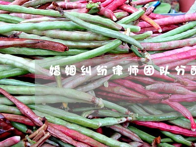 婚姻纠纷律师团队分配 婚姻纠纷律师团队分配