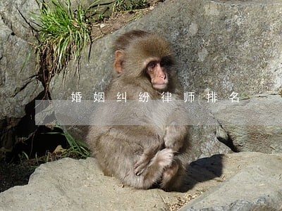 婚姻纠纷律师排名 婚姻纠纷律师排名