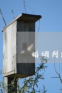 婚姻纠纷律师选谁