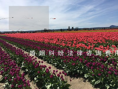 婚姻纠纷法律咨询费用