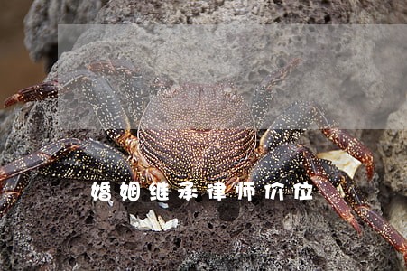婚姻继承律师价位 婚姻继承律师价位