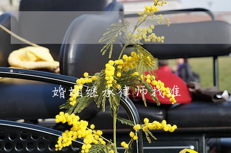婚姻继承律师找谁 婚姻继承律师找谁