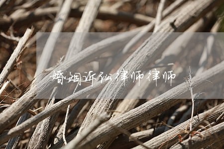 婚姻诉讼律师律师 婚姻诉讼律师律师