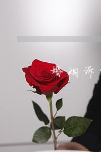 婚姻诉讼律师法律服务