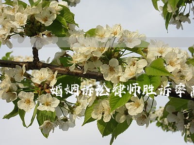 婚姻诉讼律师胜诉率高邦邦吾 婚姻诉讼律师胜诉率高邦邦吾