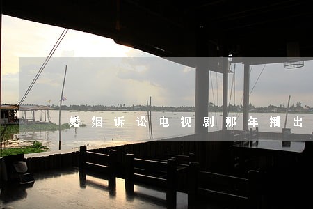 婚姻诉讼电视剧那年播出 婚姻诉讼电视剧那年播出