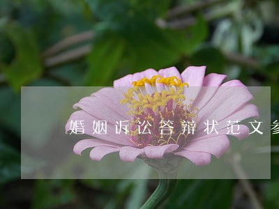 婚姻诉讼答辩状范文参考 婚姻诉讼答辩状范文参考